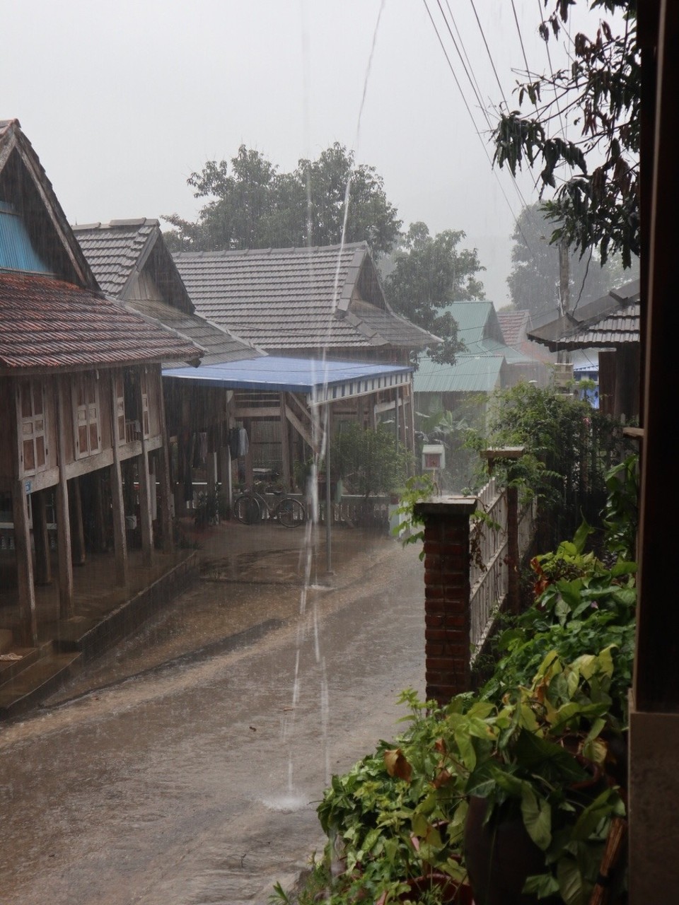 Vietnam - H. Mai Châu - Selbst bei Regen ist es hier wunderschön...