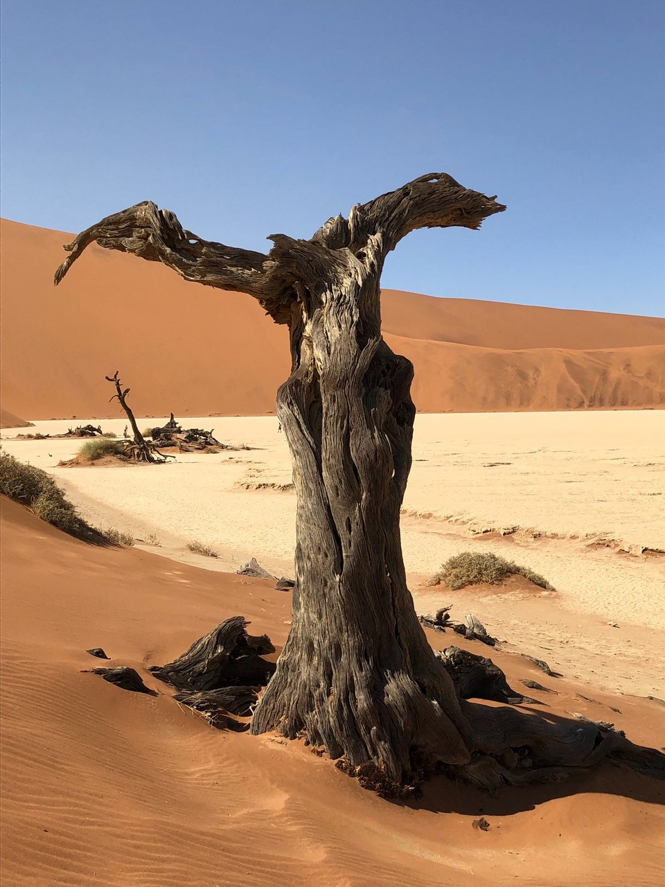 Namibia - Sossusvlei - 