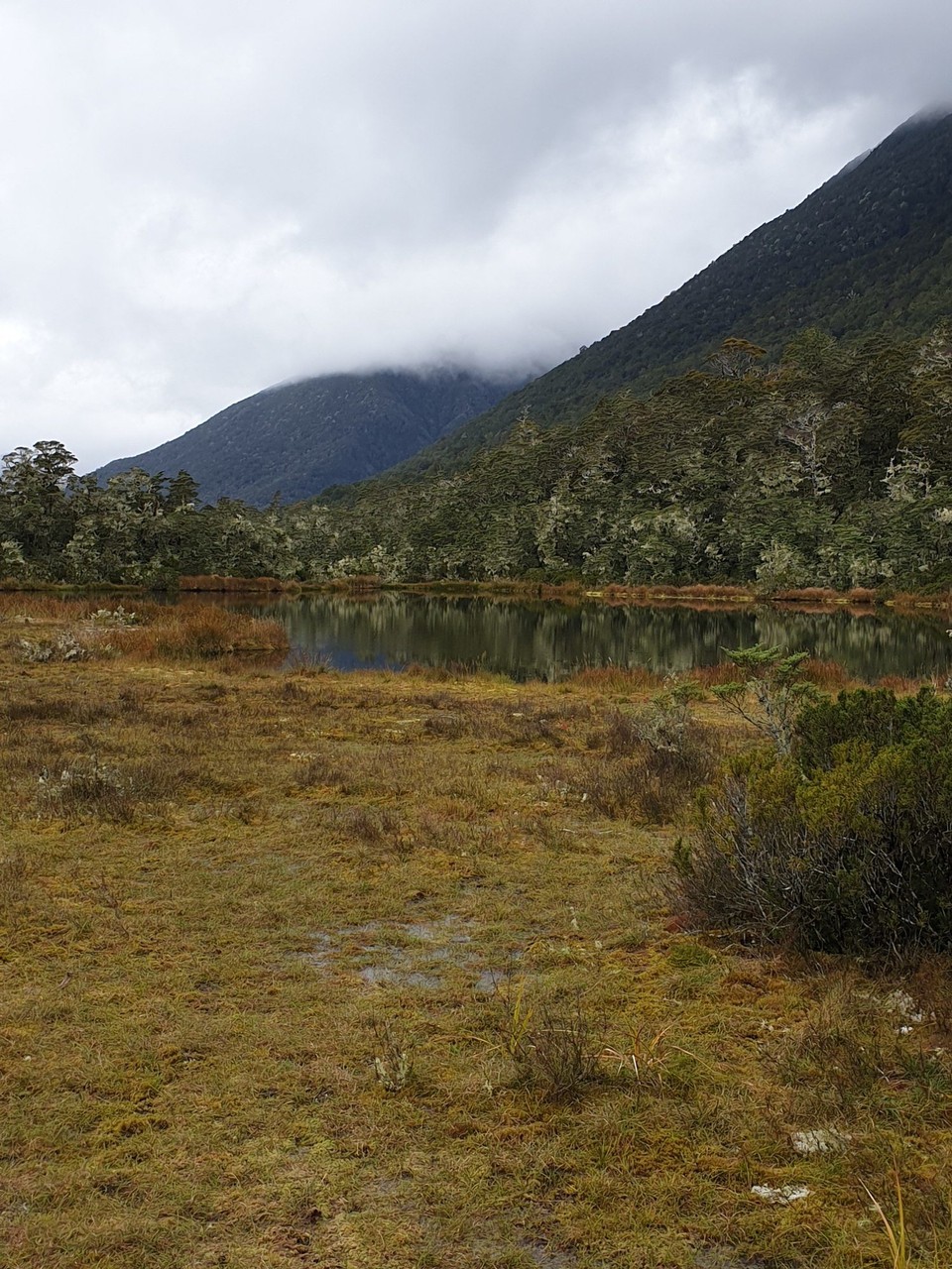 Neuseeland - Kaikoura - 