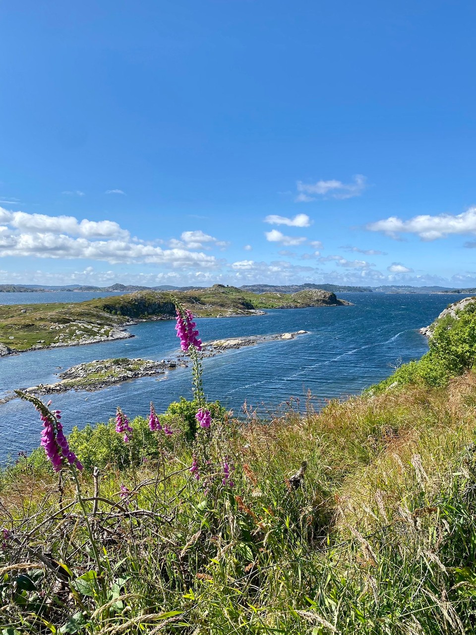 Norwegen - Bokn - zurück am Atlantik 🌊 