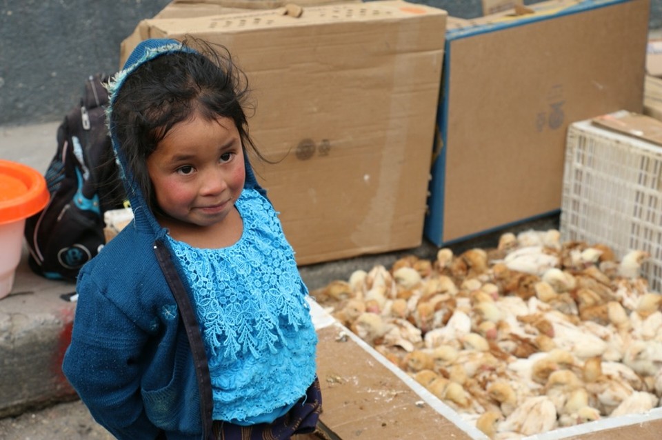 Guatemala - Chichicastenango - Kleines, guatemaltekisches Mädel - womöglich die Tochter des Hühnerhändlers 