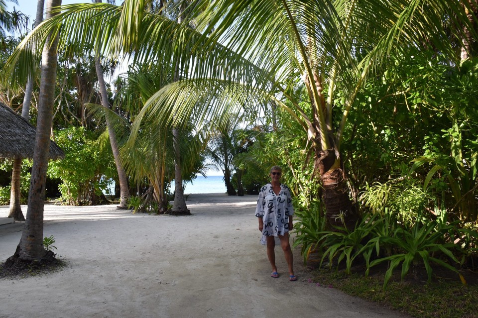 Malediven -  - Heute Nachmittag haben wir dann etwas die Insel erkundigt 
