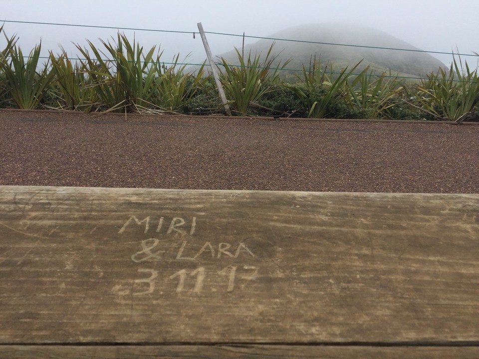 Neuseeland - Cape Reinga - 