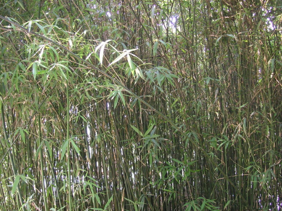 China - Hangzhou - 