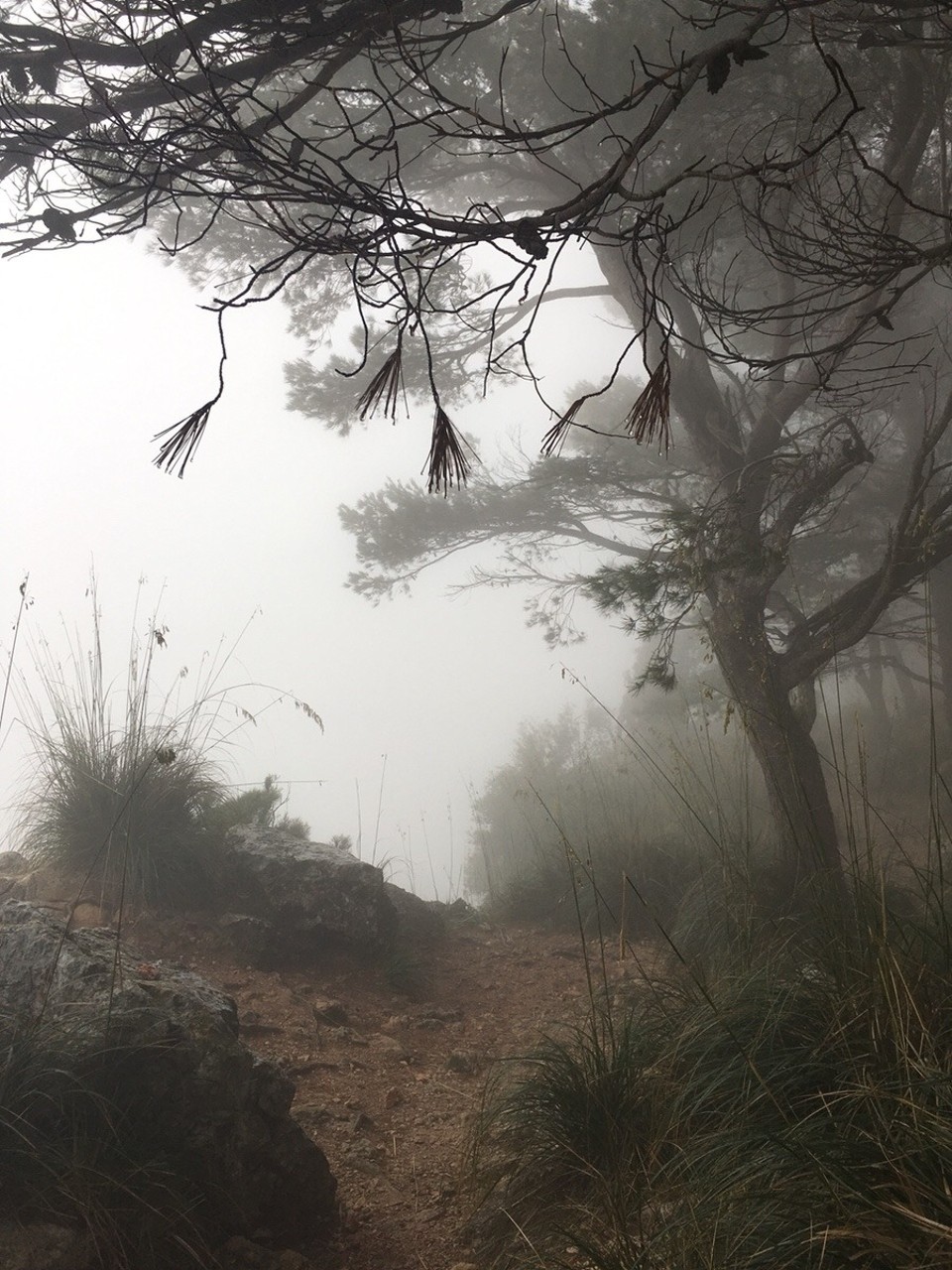 Spanien - Sóller - 