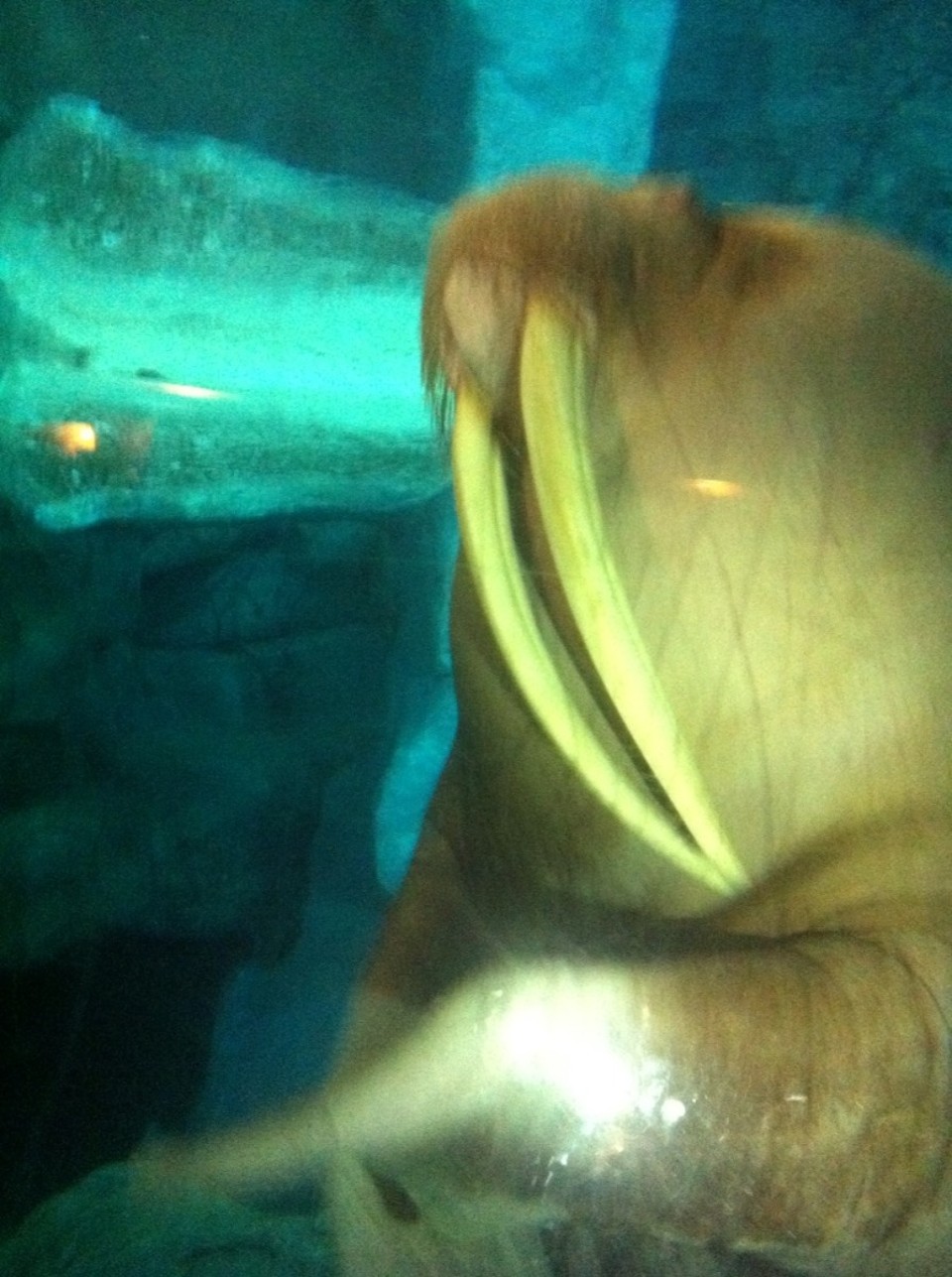 Egyesült Államok - Orlando - 