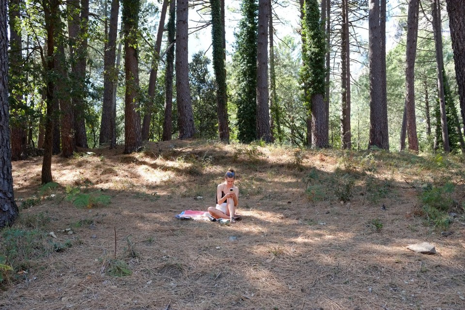 Frankreich - Quenza - 