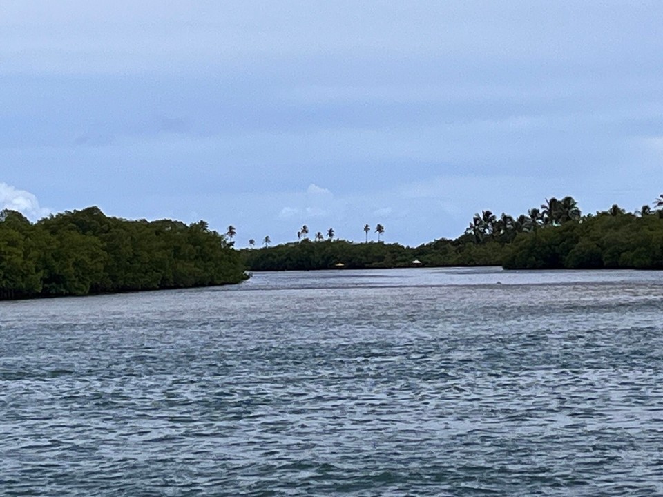 Brasilien - Jacuípe - 