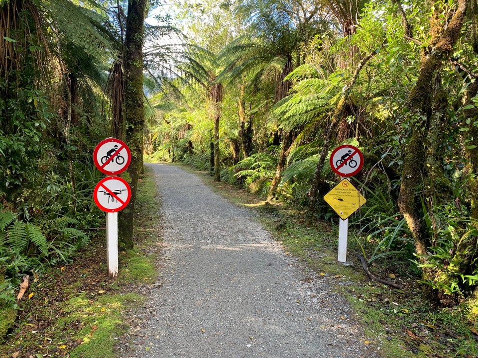Neuseeland - Franz Josef/Waiau - 