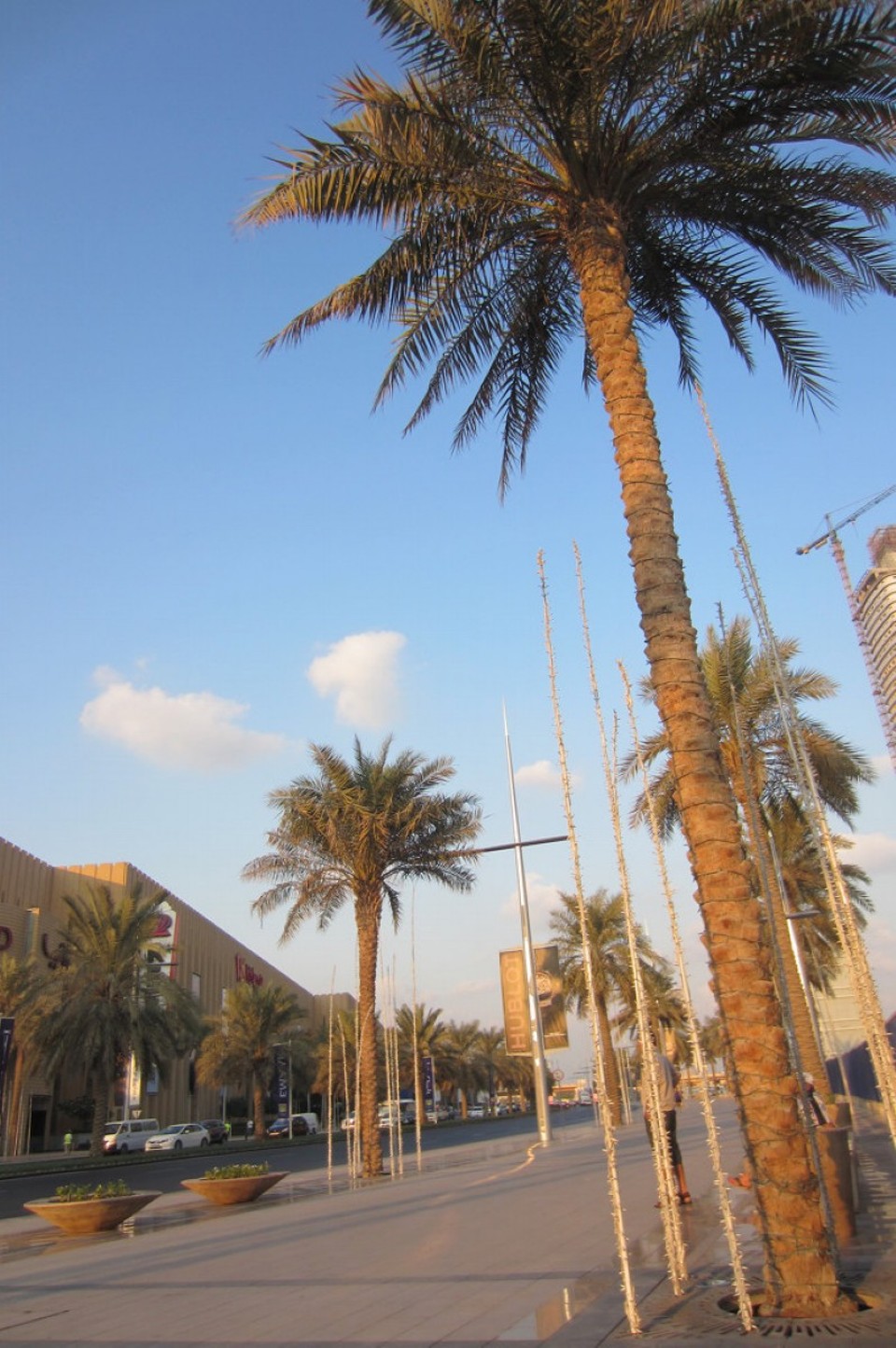 Vereinigte Arabische Emirate - Dubai - 