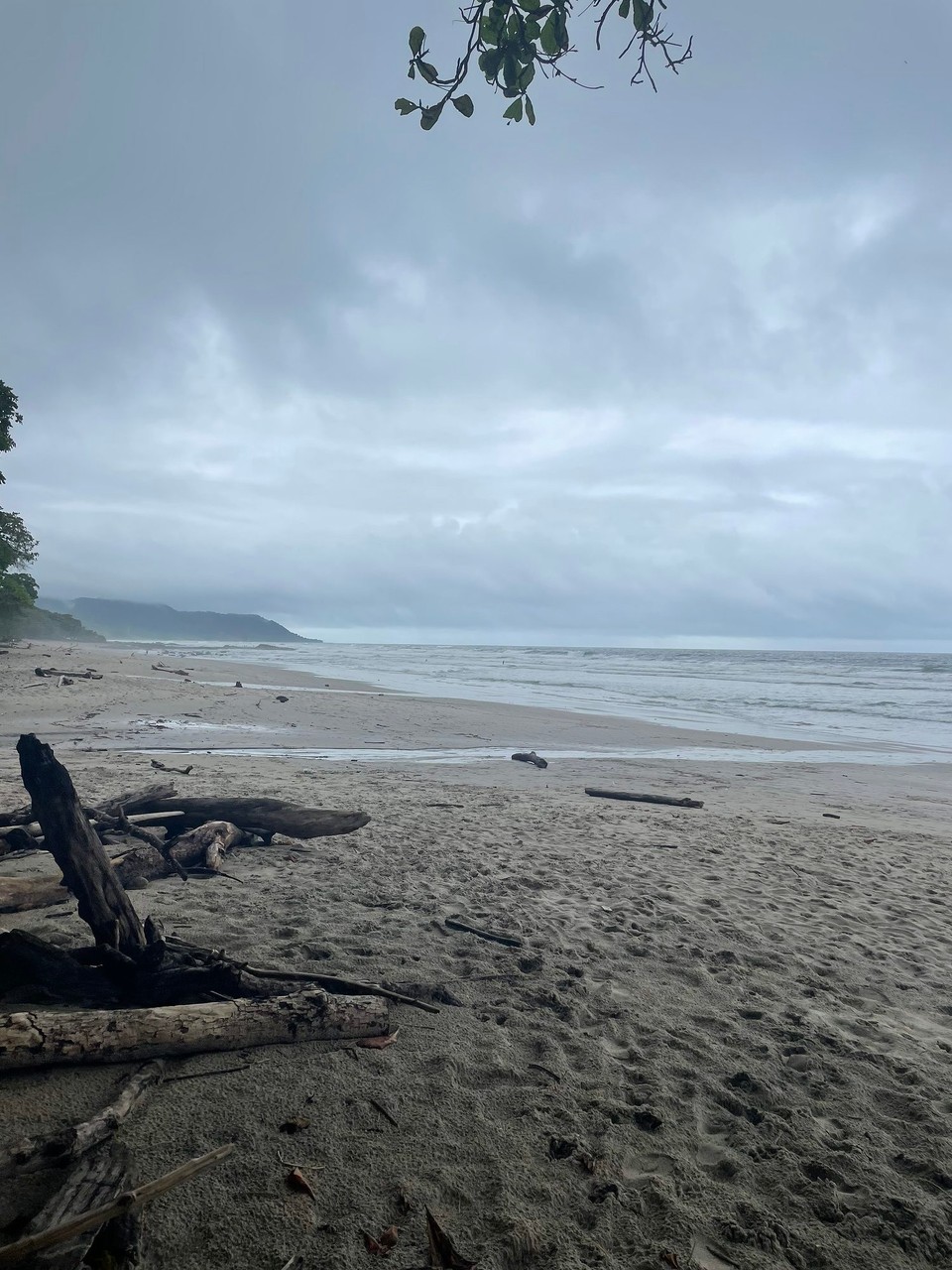 Costa Rica -  - Am Mittag wurde die Regenpause für einen Strandlauf genutzt 🏃‍♀️ 