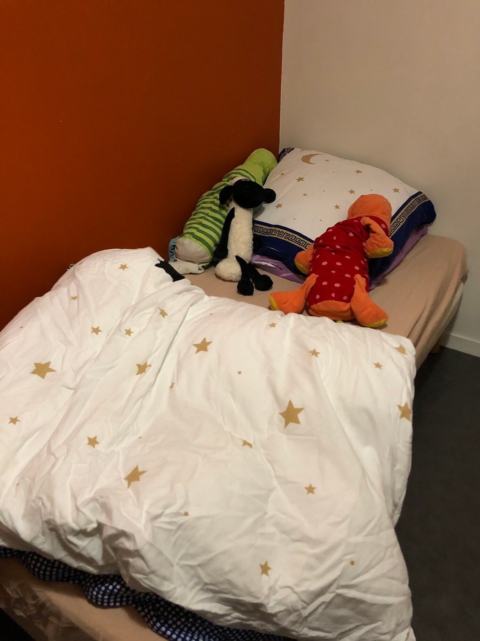 Frankreich - Grenoble - 