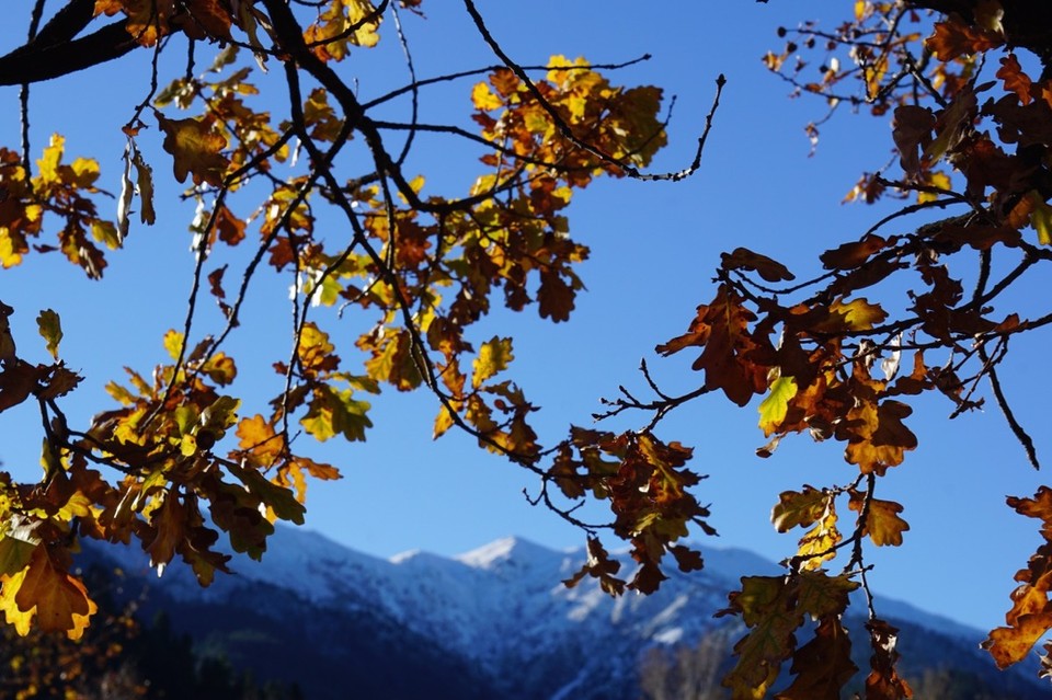 Neuseeland - Hanmer Springs - Herbststimmung im Juni