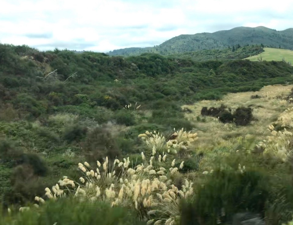 Neuseeland - Motutere - 