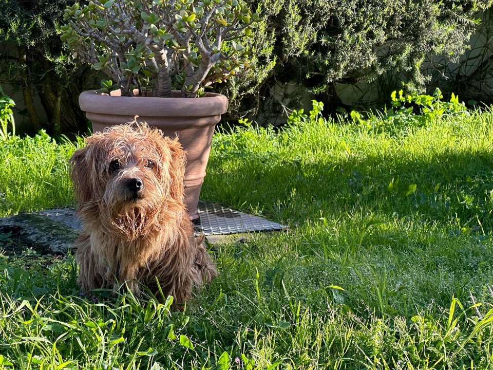 Portugal - Aljezur - 