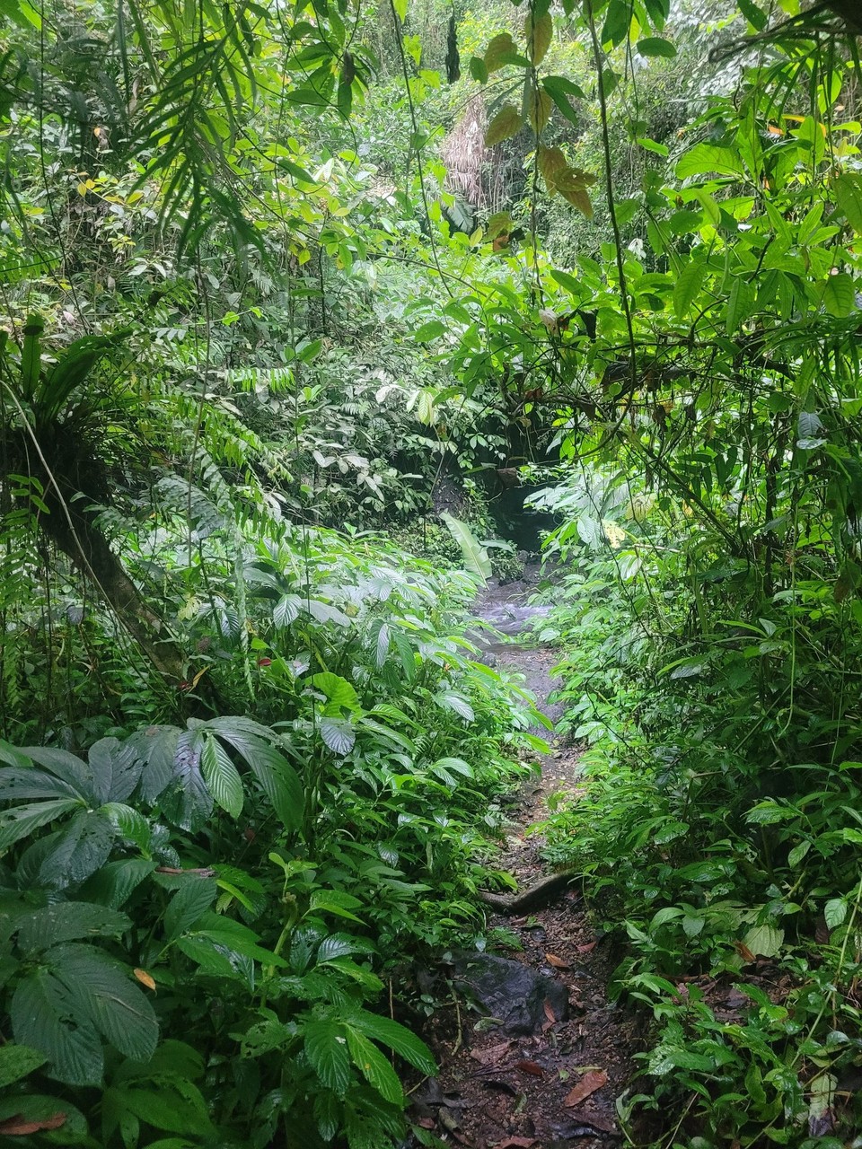 Indonesien - Lombok - 