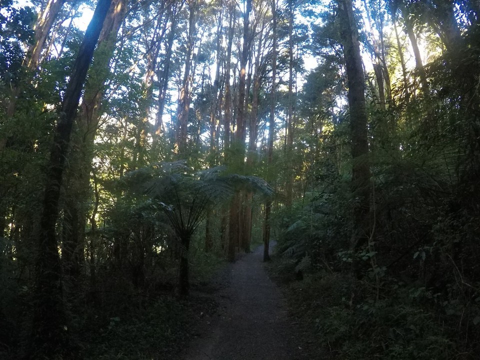 Neuseeland - Kerikeri - 