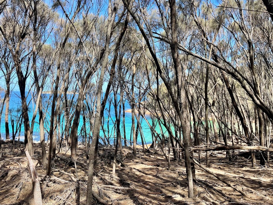 Australien - Freycinet - 