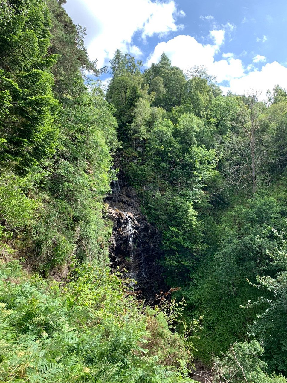 Vereinigtes Königreich - Inverness - Dhivach Falls - da mues dr Willy doch häre!
…tja, nid aui Wasserfäu si spektakulär. Isch aber glich schön gsi i dene Birkewäuder umezstriele.