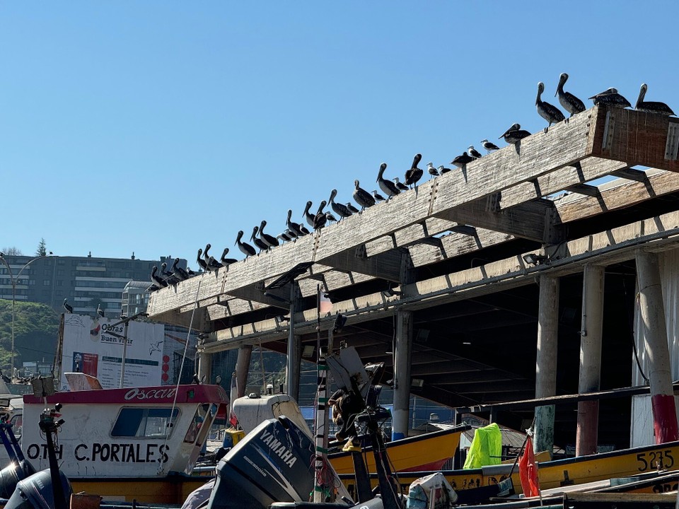 Chile - Santiago de Chile - 