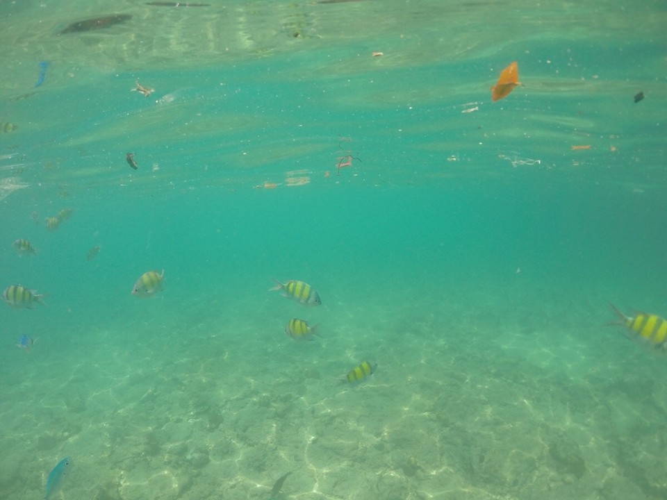 Thailand - Amphoe Mueang Krabi - Tolle Sicht beim Schnorcheln 