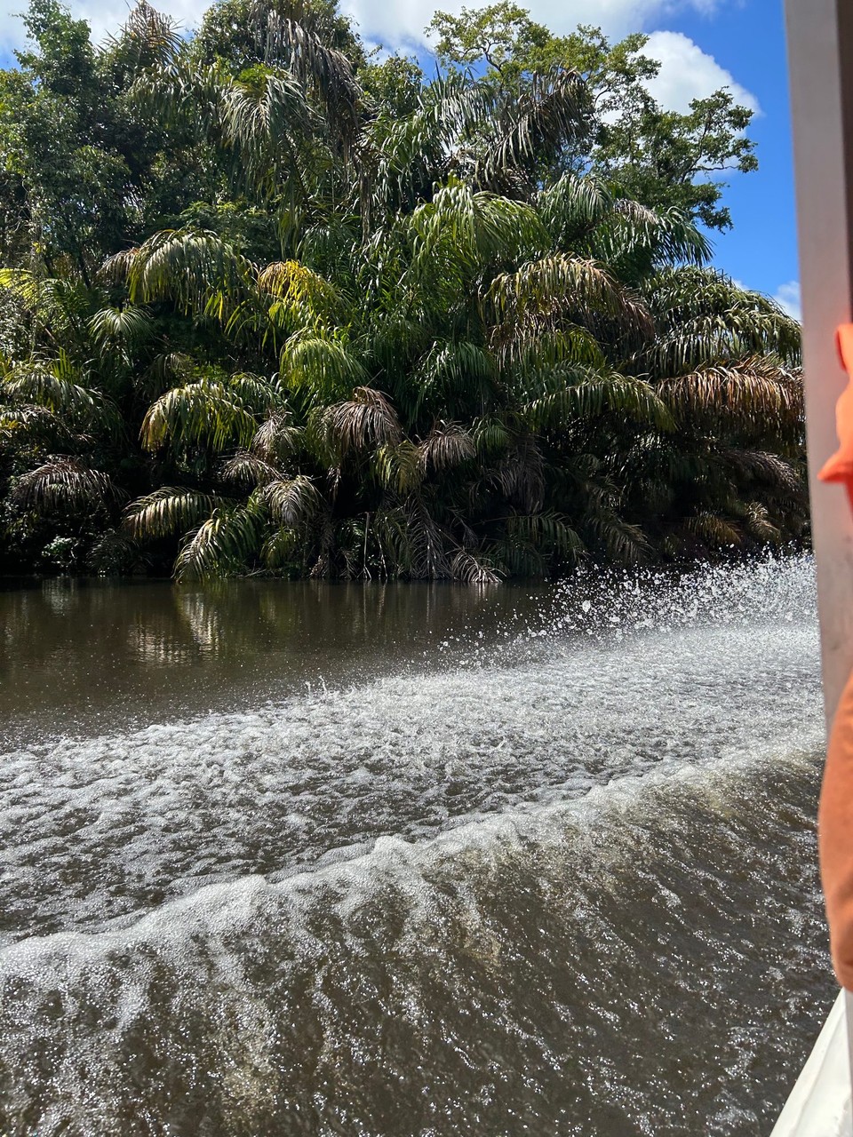 Costa Rica - Nationalpark Tortuguero - 