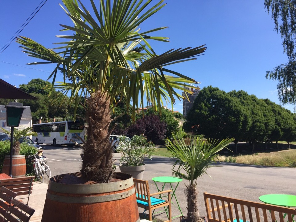 Frankreich - Nantes - Und jetzt finden wir auch noch ein tolles Café. 