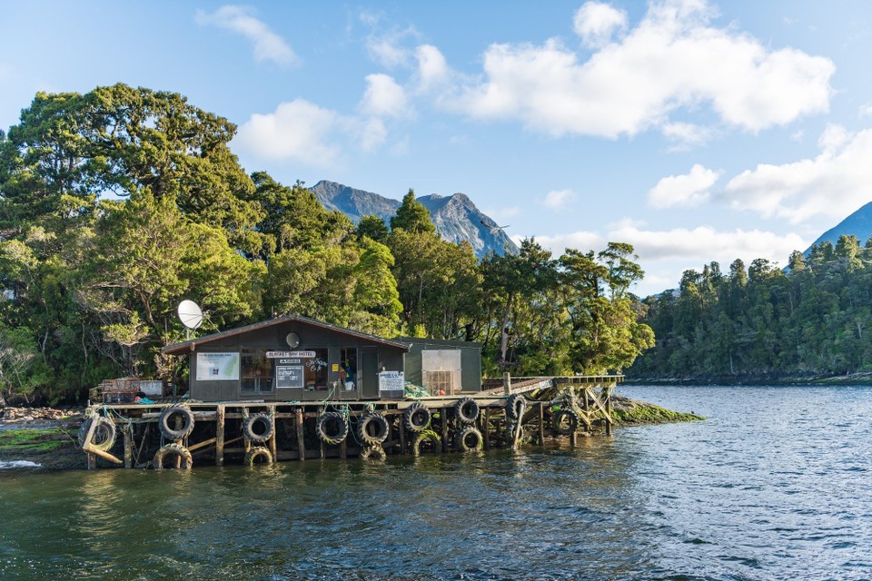 Neuseeland -  - 