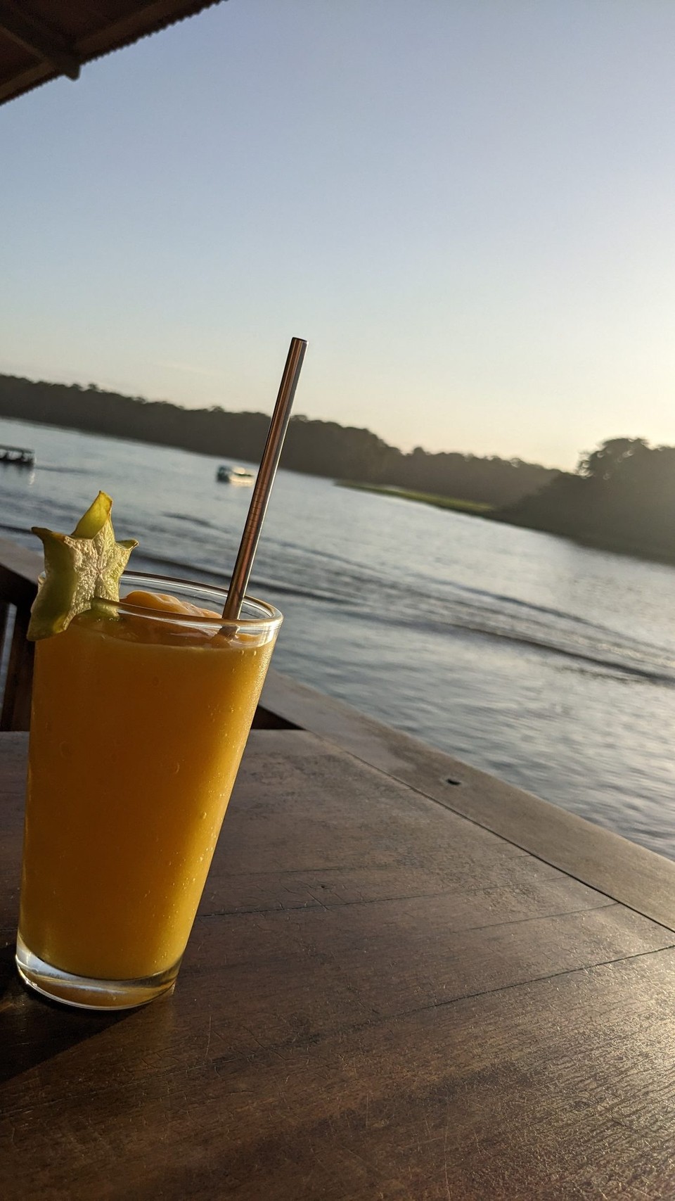 Costa Rica - Nationalpark Tortuguero - 