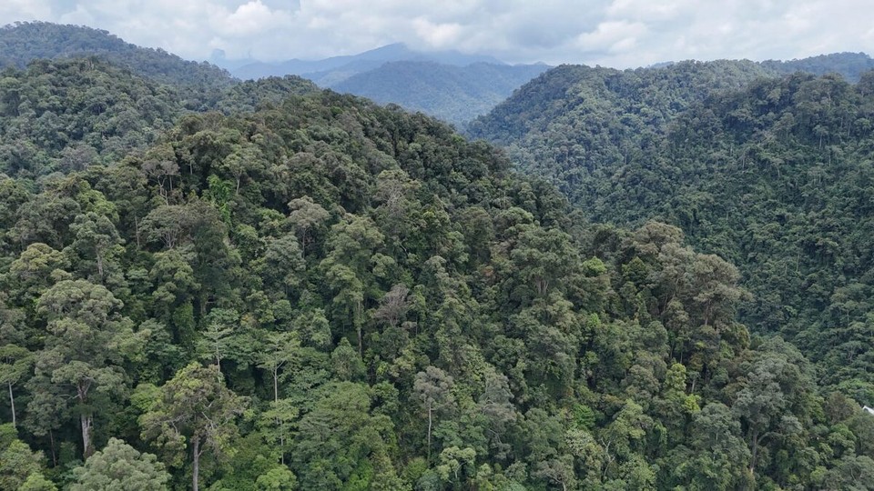 Indonesien - Kabupaten Langkat - 