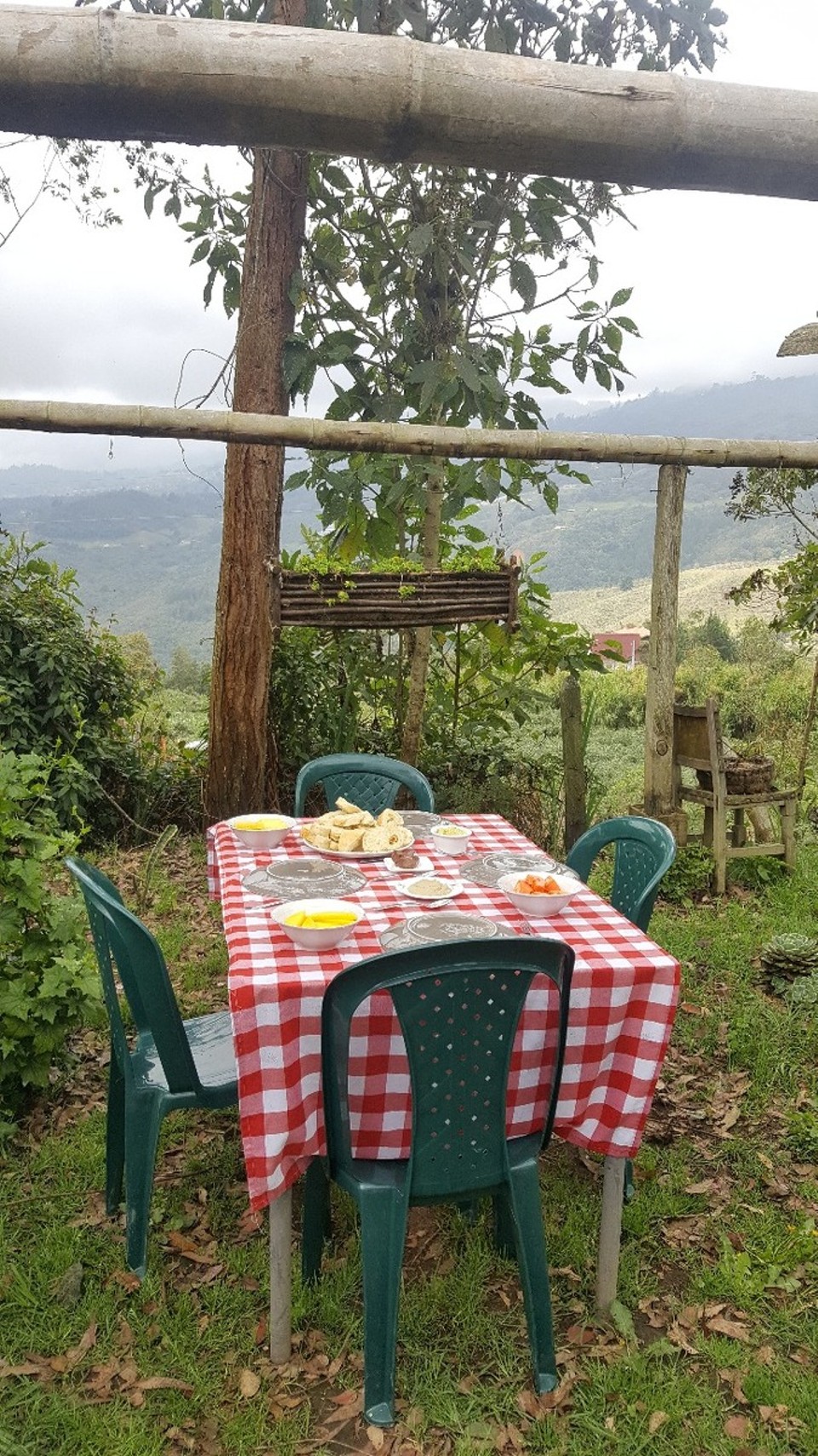 Kolumbien - Medellín - ...ein richtig leckeres Frühstück im Garten.
Es war der Hammer.