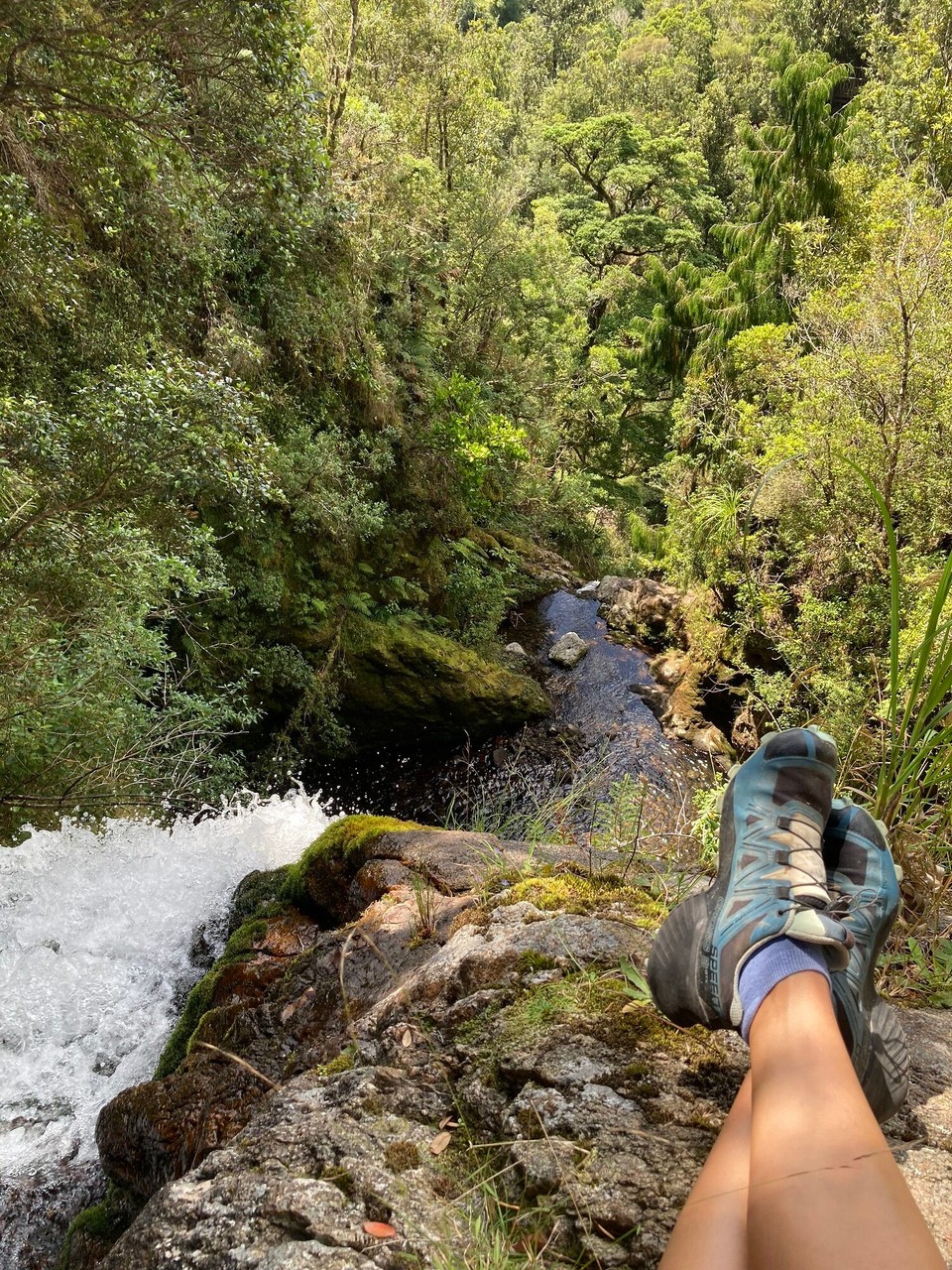 Neuseeland - Coromandel Forest Park - 