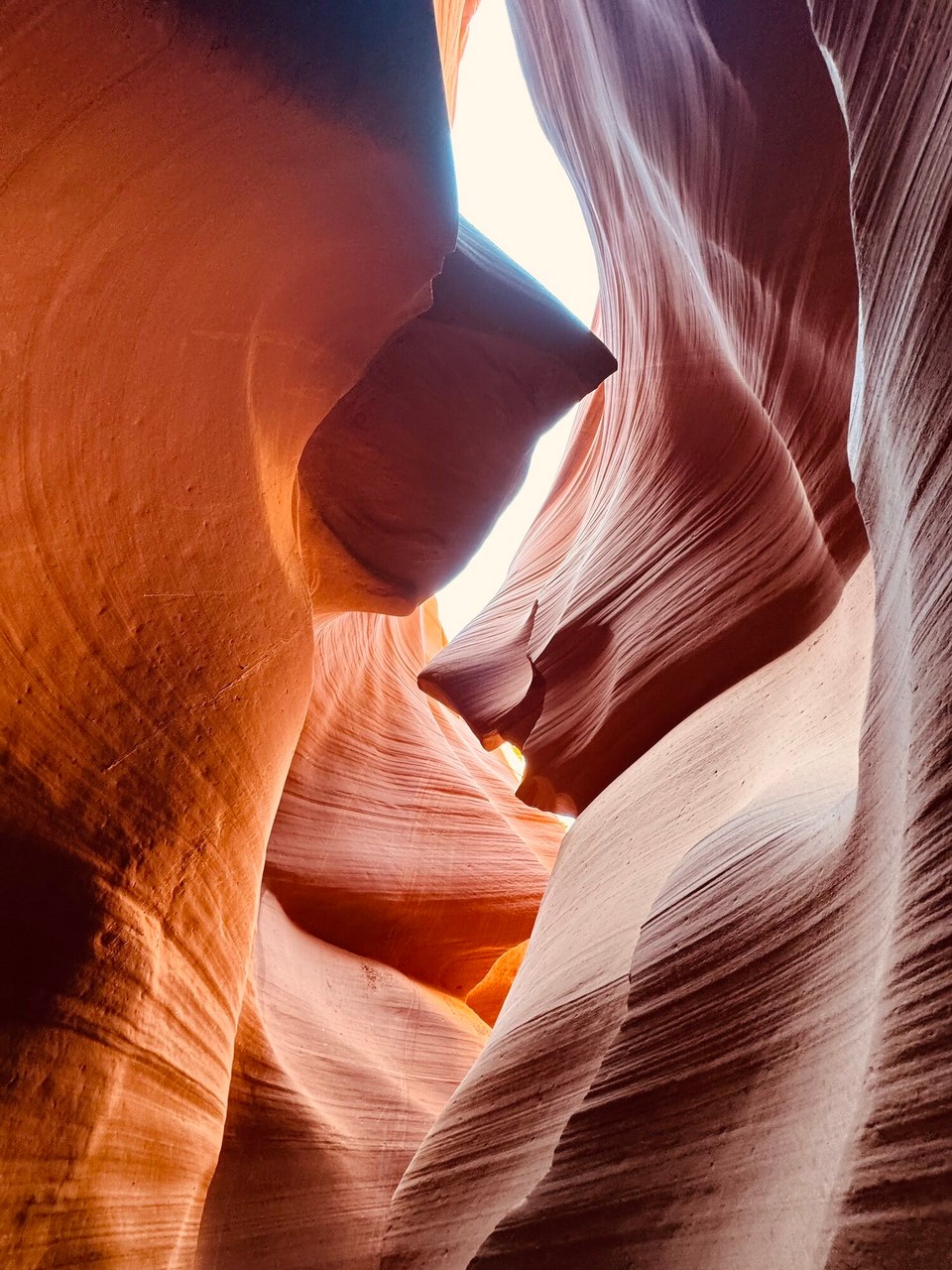 Vereinigte Staaten - Page - Er hed au immerwieder zeigt wo Bilder gmacht worde sind für Windows, Apple… 
Au hets immer öbbe spezieli Formatione vo Stei gha wo en Name hend. Das esch zum Bispiel de smiling shark.🦈🙈😊