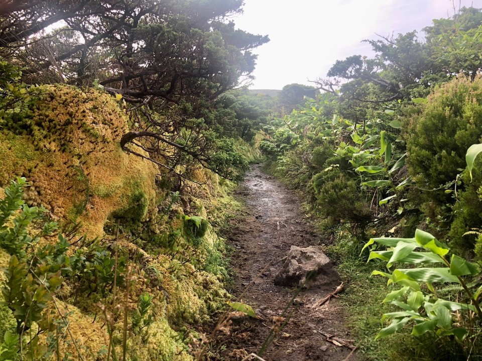 Portugal - Lajes Das Flores - 