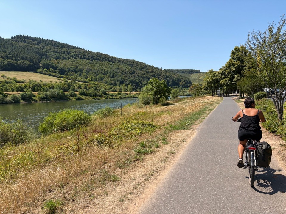 Deutschland - Bernkastel-Kues - Anschließend ging es wieder mit dem Fahrrad auf dem Moselradweg zurück.