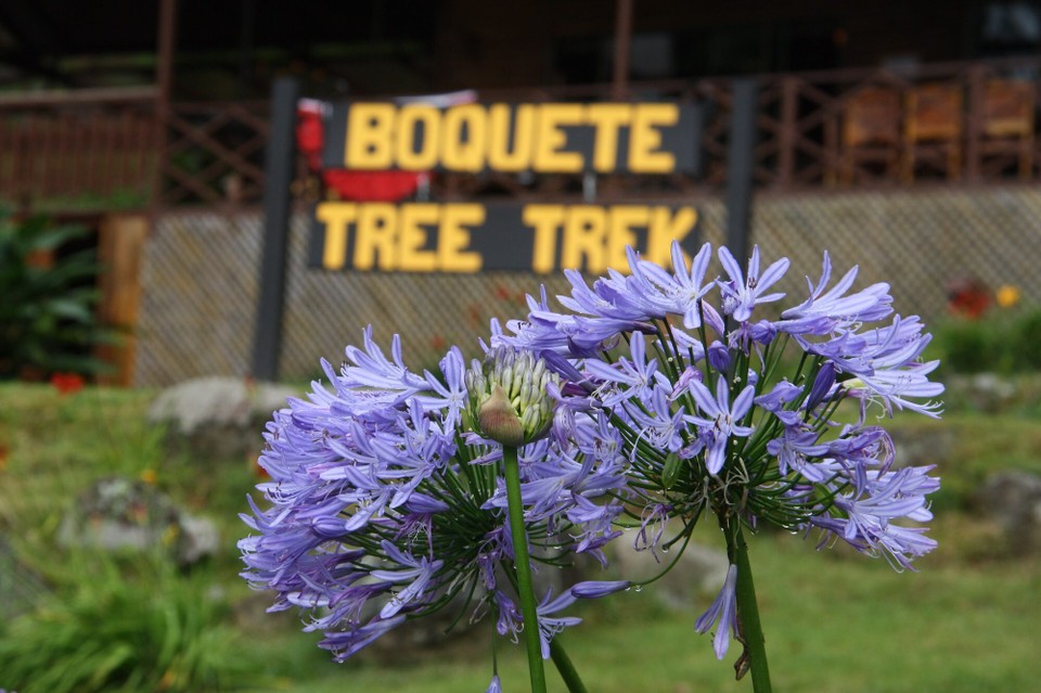 Panama - Boquete - 