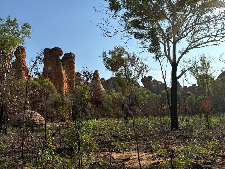 Australien - Limmen - 