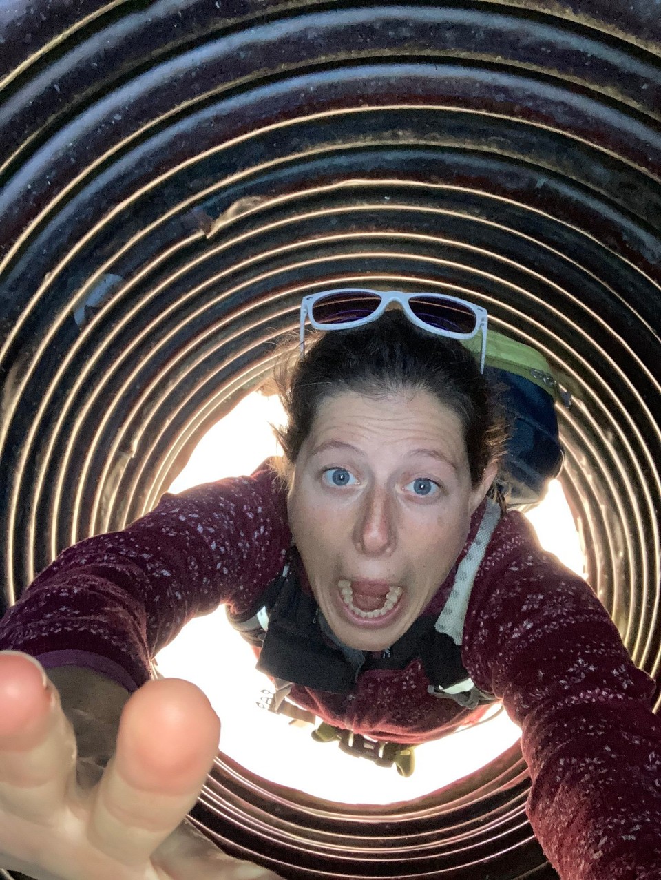 Neuseeland - Wellington - Oh nein, ich werde weggesaugt 😱