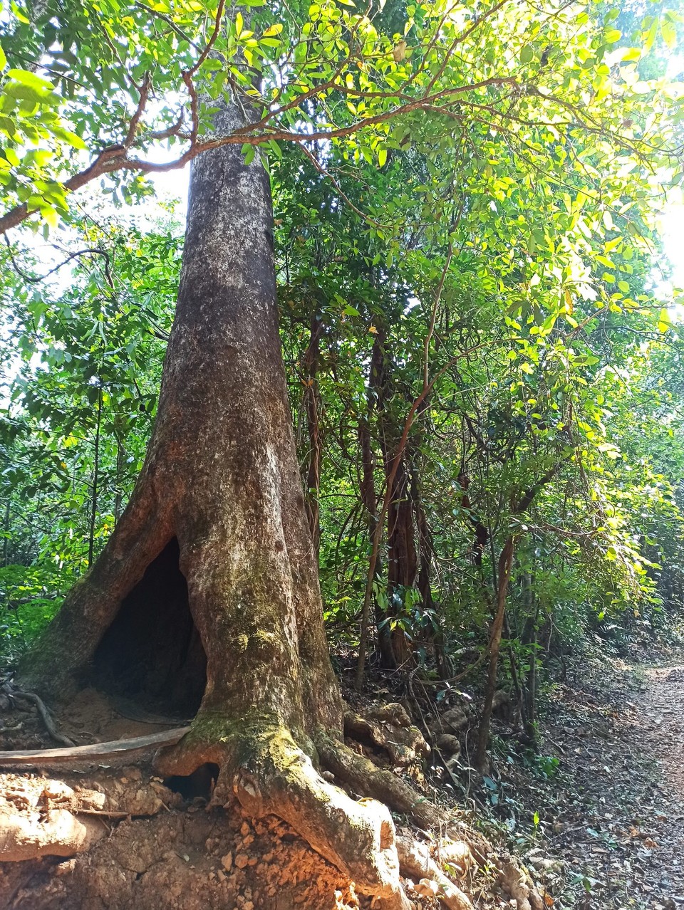 Indien - Agonda - 