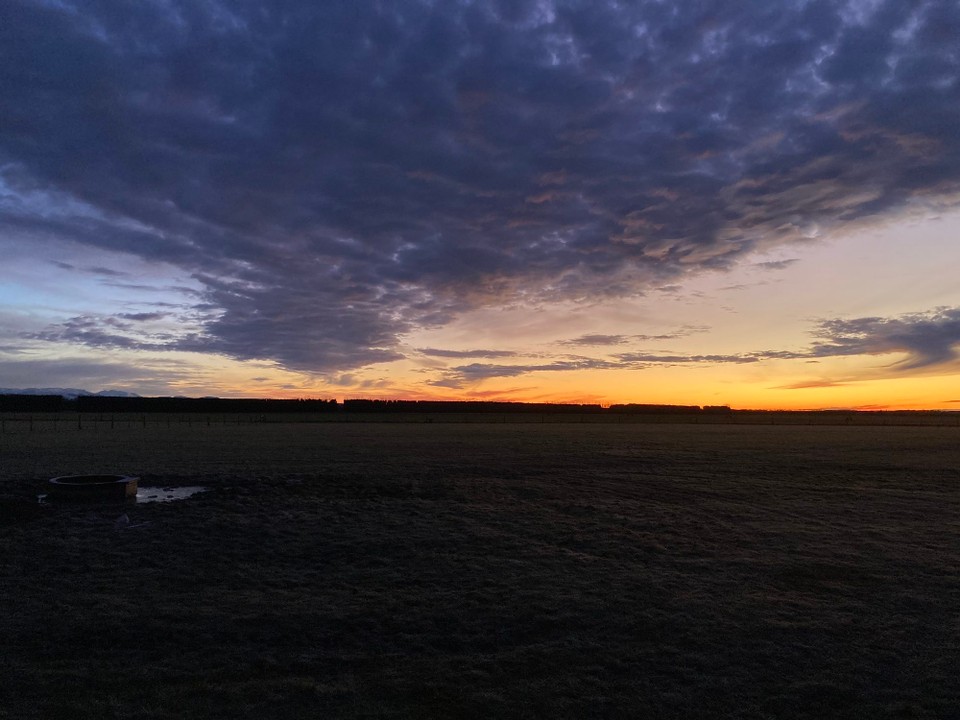 Neuseeland - Ashburton - Noch vor Sonnenaufgang sitzen wir im Auto auf dem Weg zu einer Schaffarm