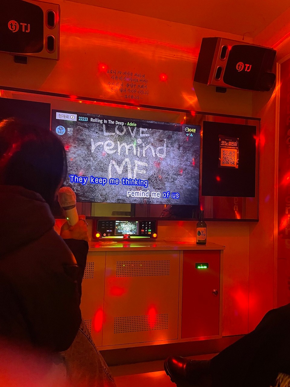 대한민국 - 서울특별시 - Karaoke - Rolling in the deeeeeeeep!