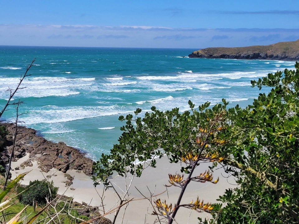 Neuseeland - Otago Peninsula - 