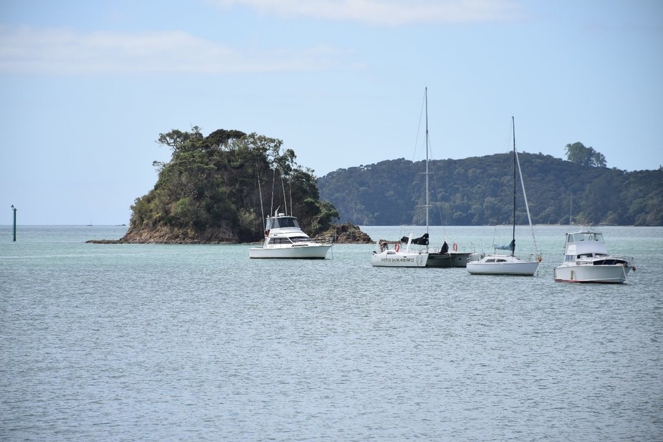 Neuseeland - Paihia - Eine kleine Insel im Meer
