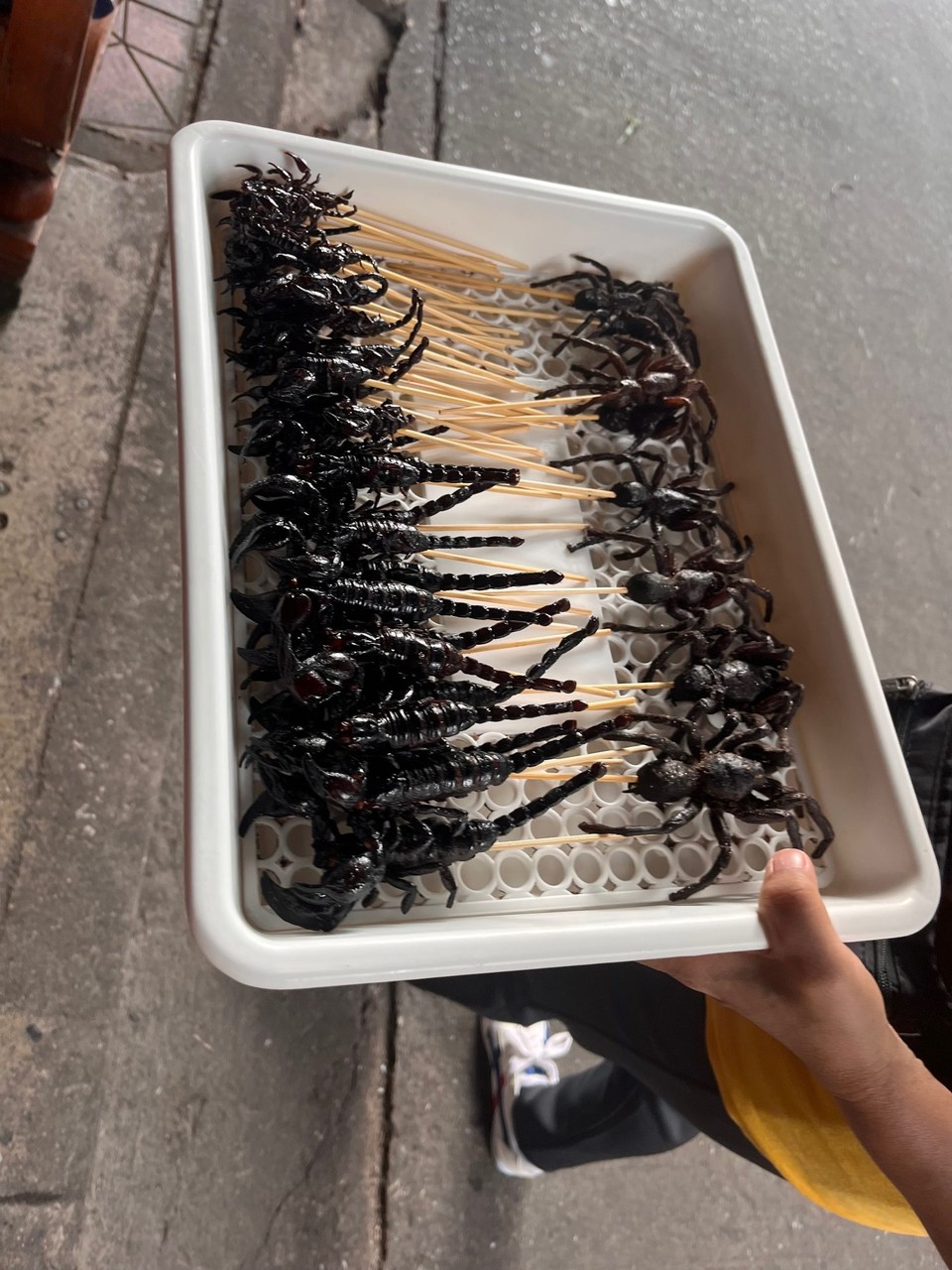 Thailand - Ayutthaya - Insekten am Spieß.