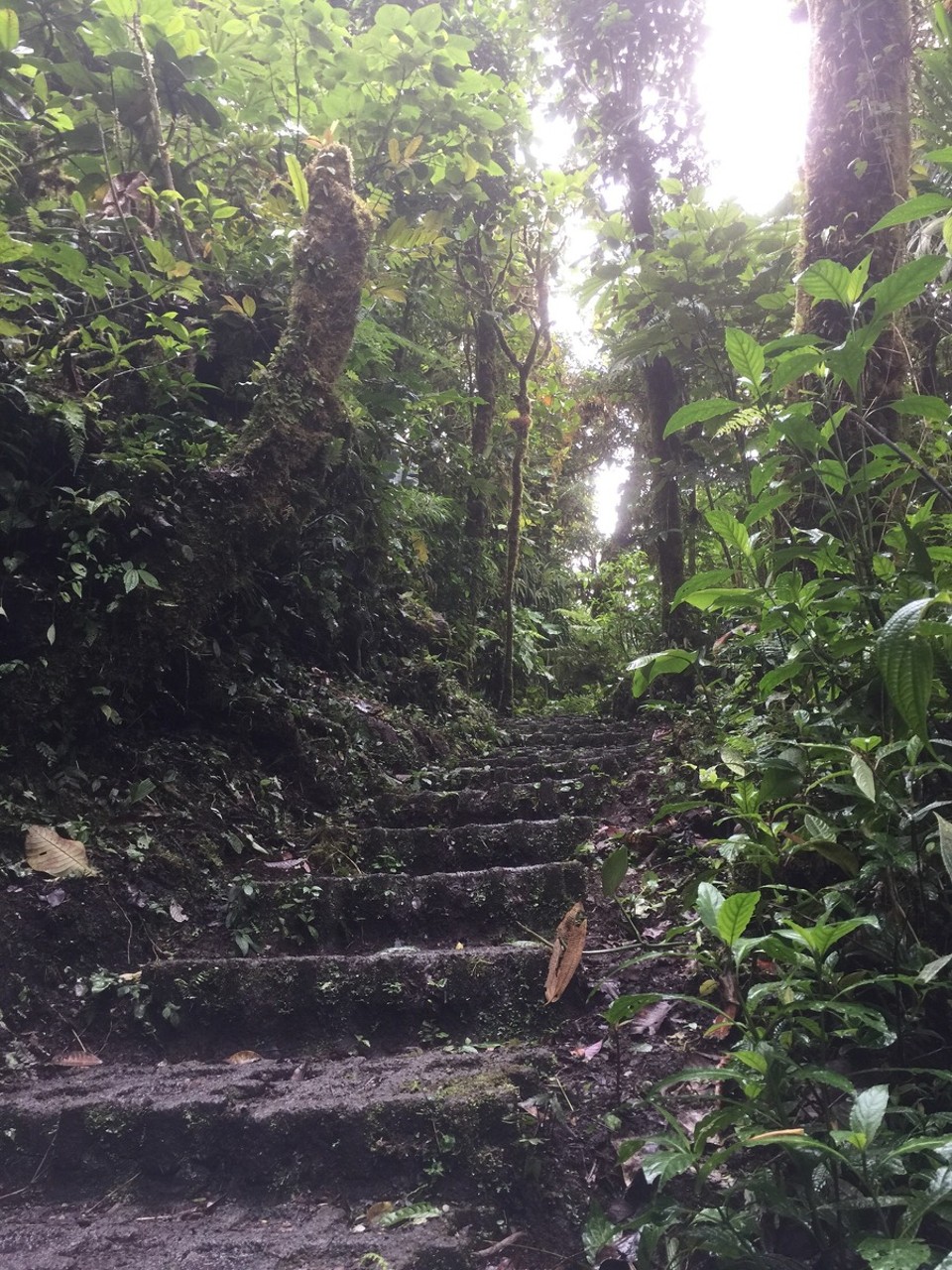 Costa Rica -  - 