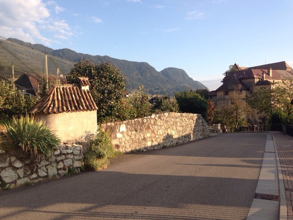  - Italien, Scena/Meran - An den Berghängen wächst der Wein!