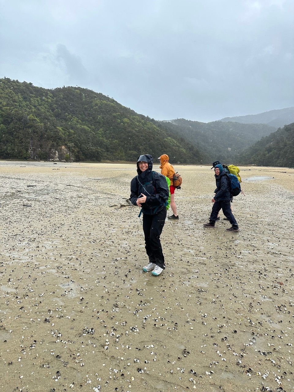 Neuseeland - Abel Tasman National Park - Wir waren rechtzeitig zur Lowtide  an der Torn Bay, damit wir nicht den dreieinhalb Kilometer Umweg laufen müssen