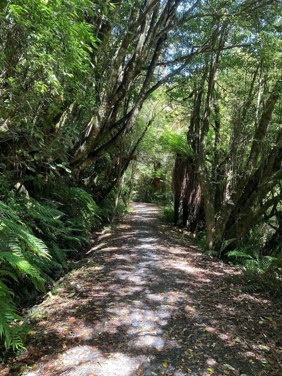 Neuseeland - Raetihi - 