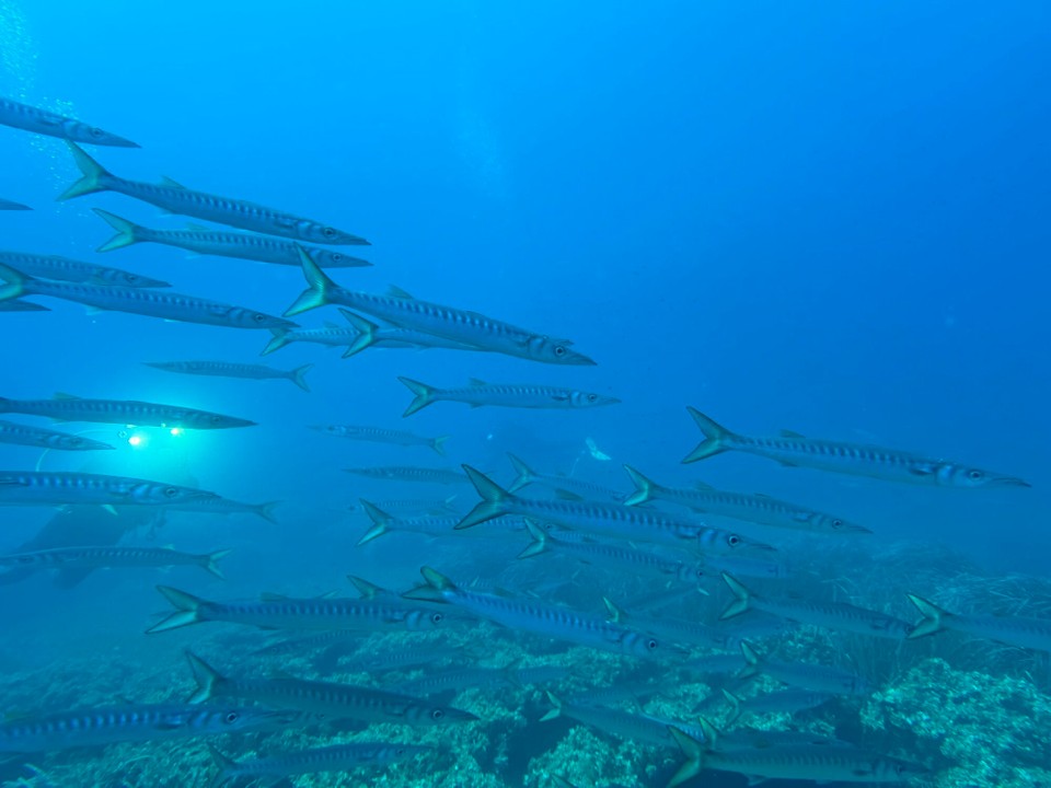 Italien - Capoliveri - 