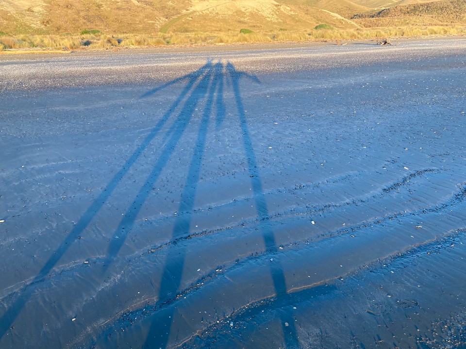 Neuseeland - Seddon - 